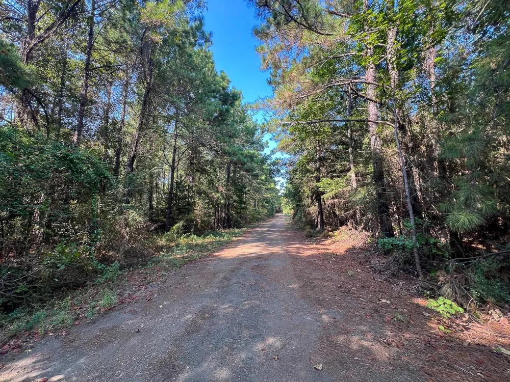 4 Cr 2150 Woodville, TX 75979