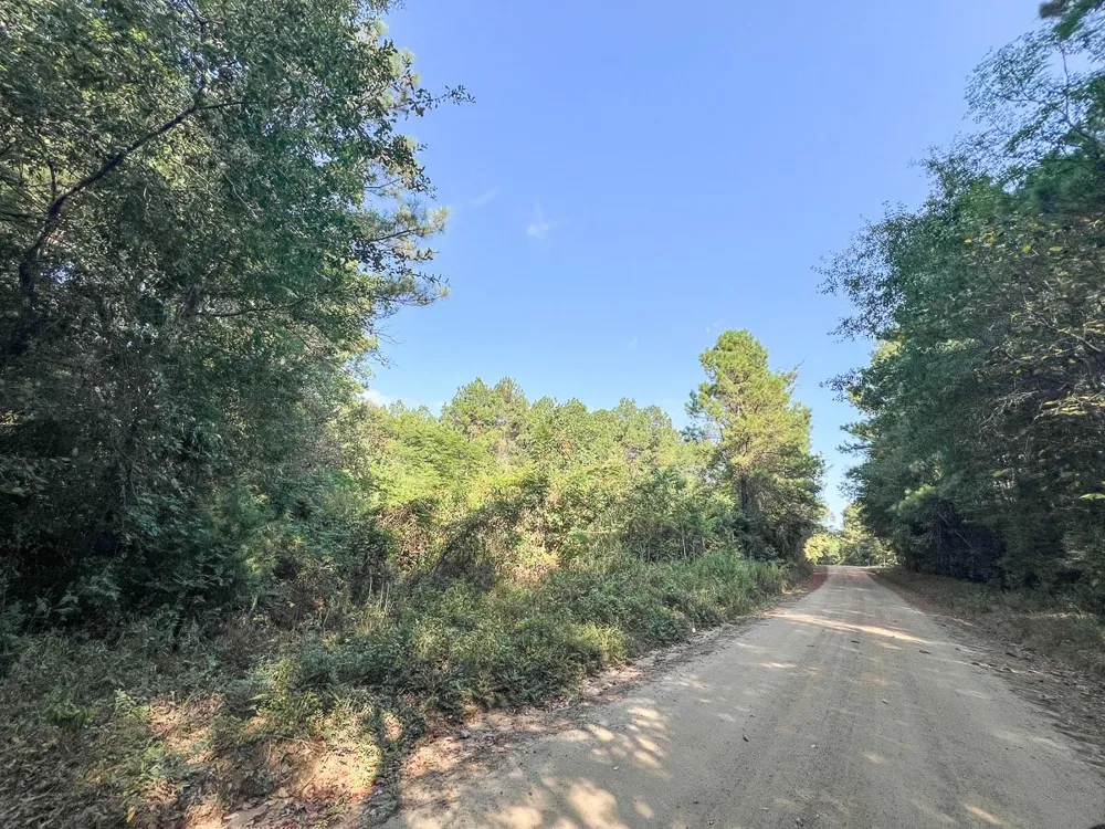 4 Cr 2150 Woodville, TX 75979