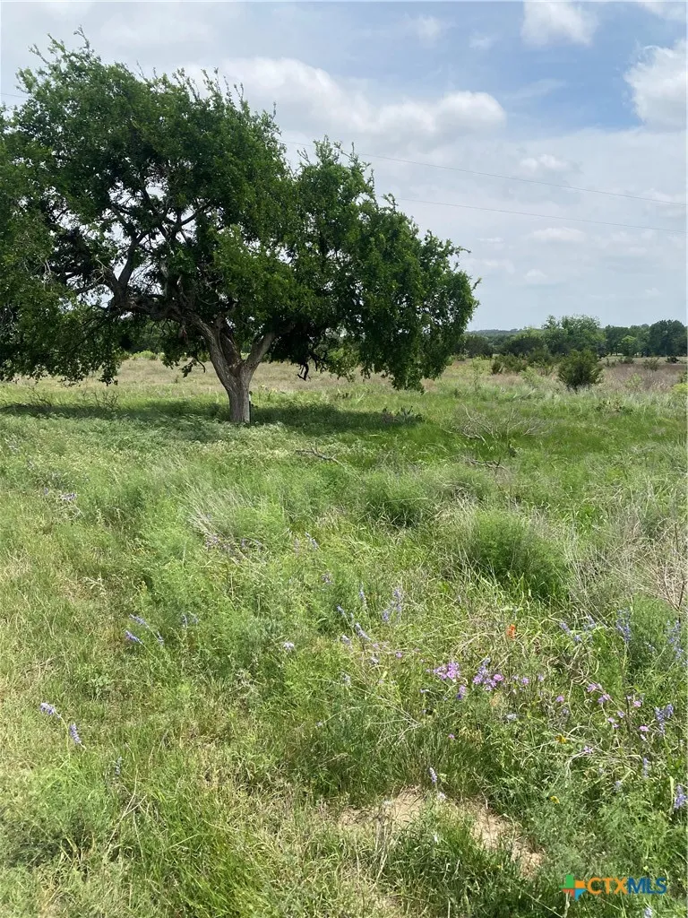 305 County Road 2227 Lampasas, TX 76550