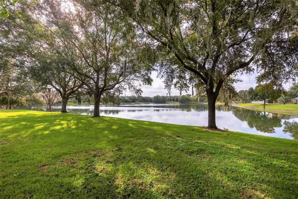 13844 AMELIA POND DRIVE Windermere, FL 34786