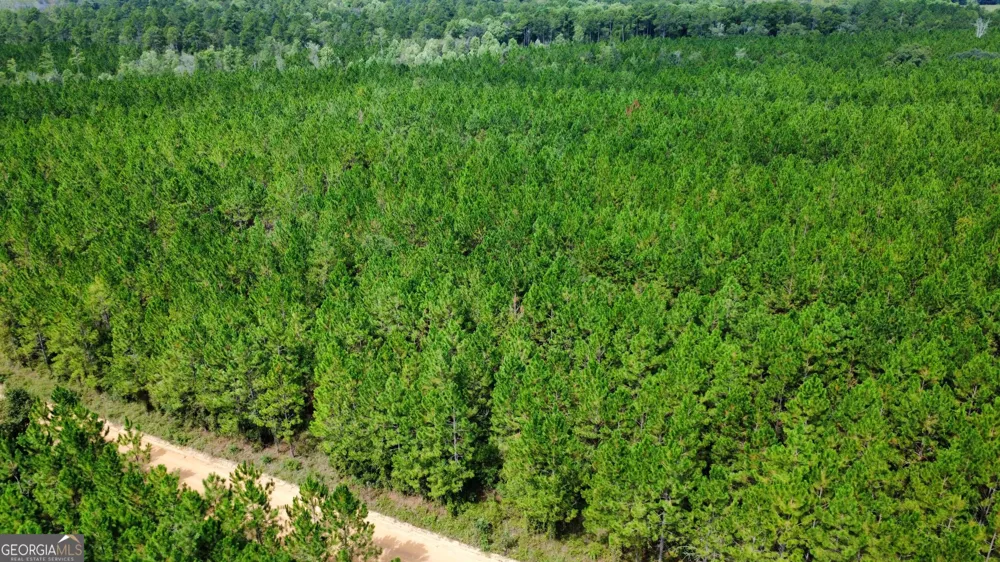TRACT 6 Sunflower RD Fitzgerald, GA 31750
