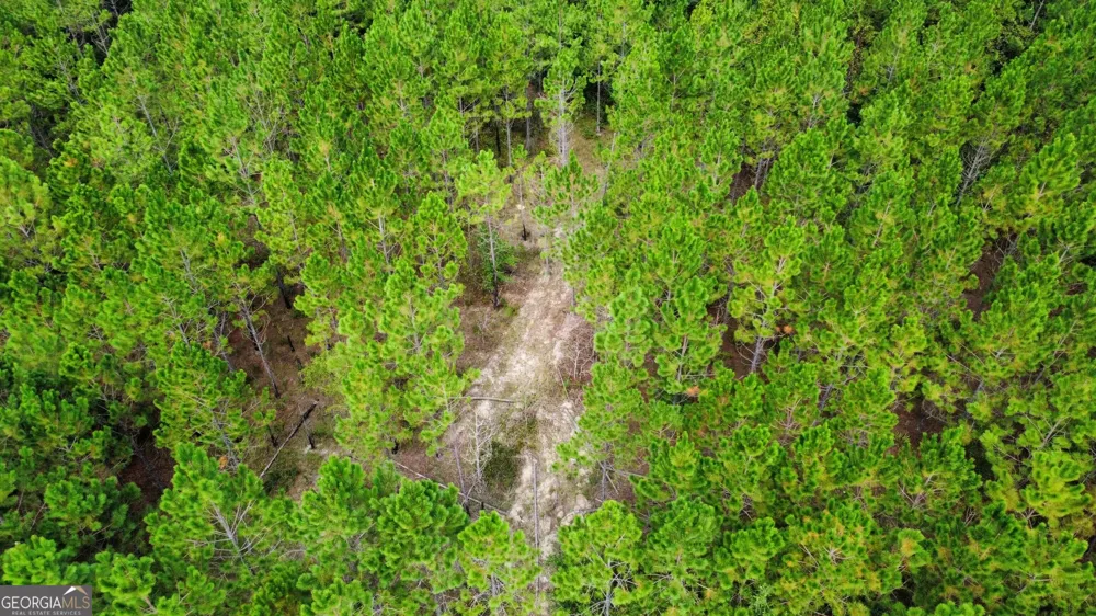 TRACT 6 Sunflower RD Fitzgerald, GA 31750