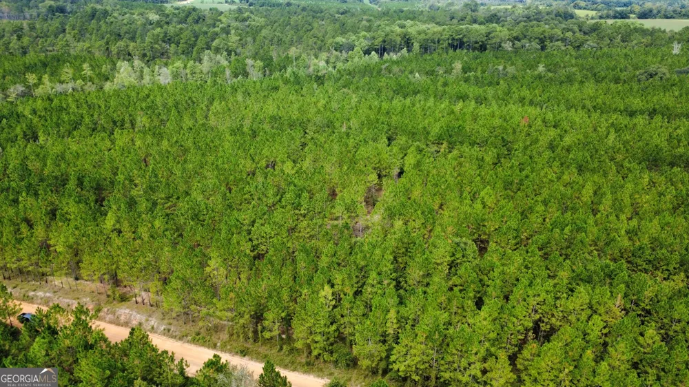 TRACT 6 Sunflower RD Fitzgerald, GA 31750