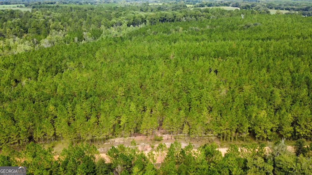 TRACT 6 Sunflower RD Fitzgerald, GA 31750