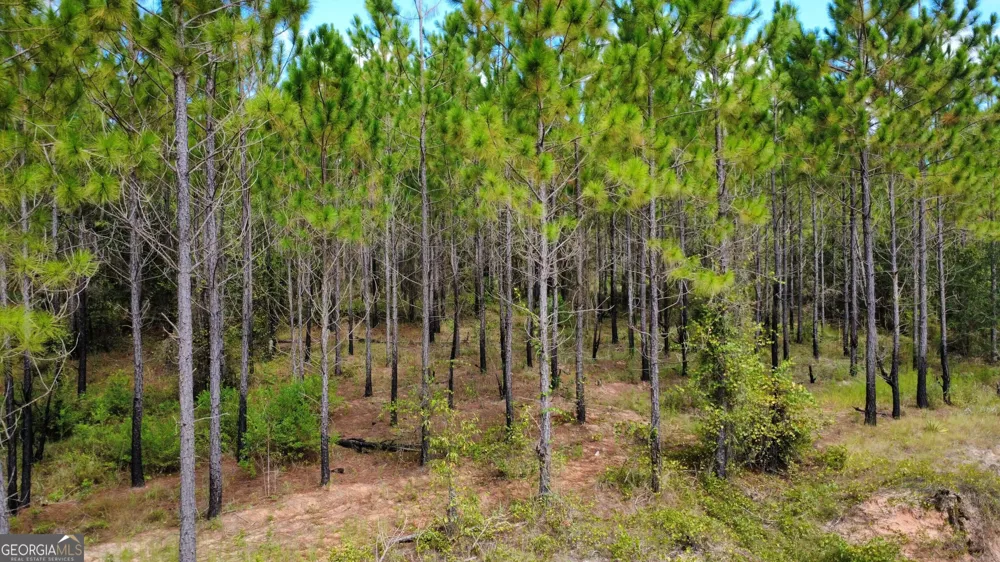 TRACT 6 Sunflower RD Fitzgerald, GA 31750