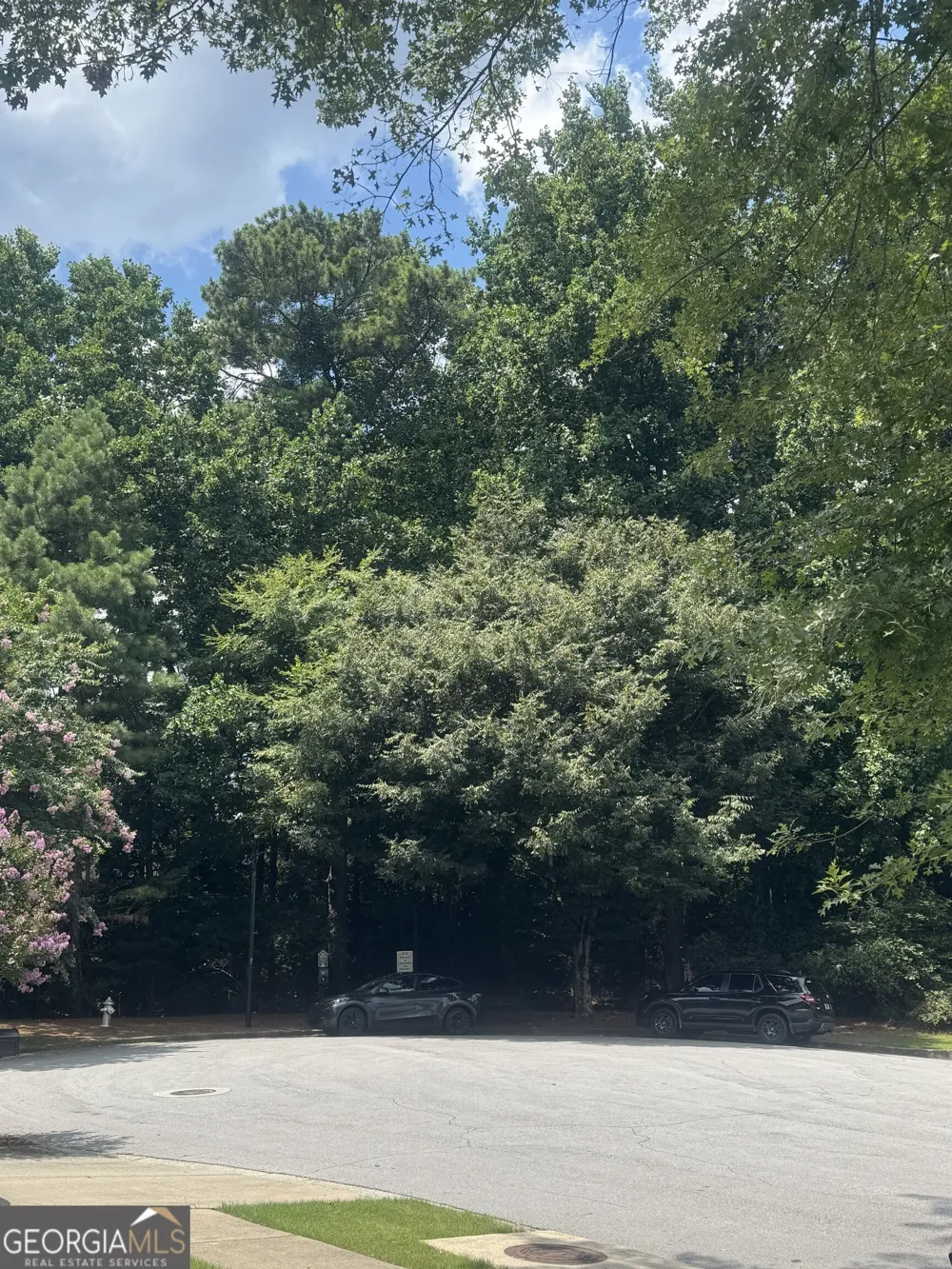 125 Friars Head DR Suwanee, GA 30024