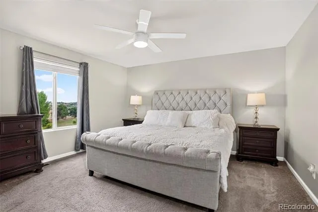 262 Pavo Court Loveland, CO 80537