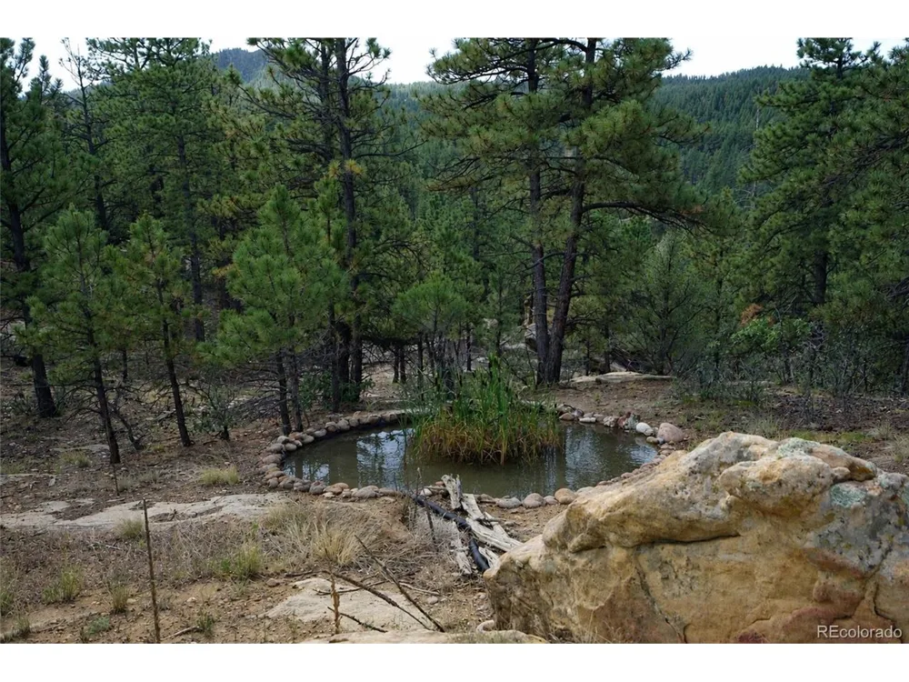 19084 County Road 31.9 Weston, CO 81091