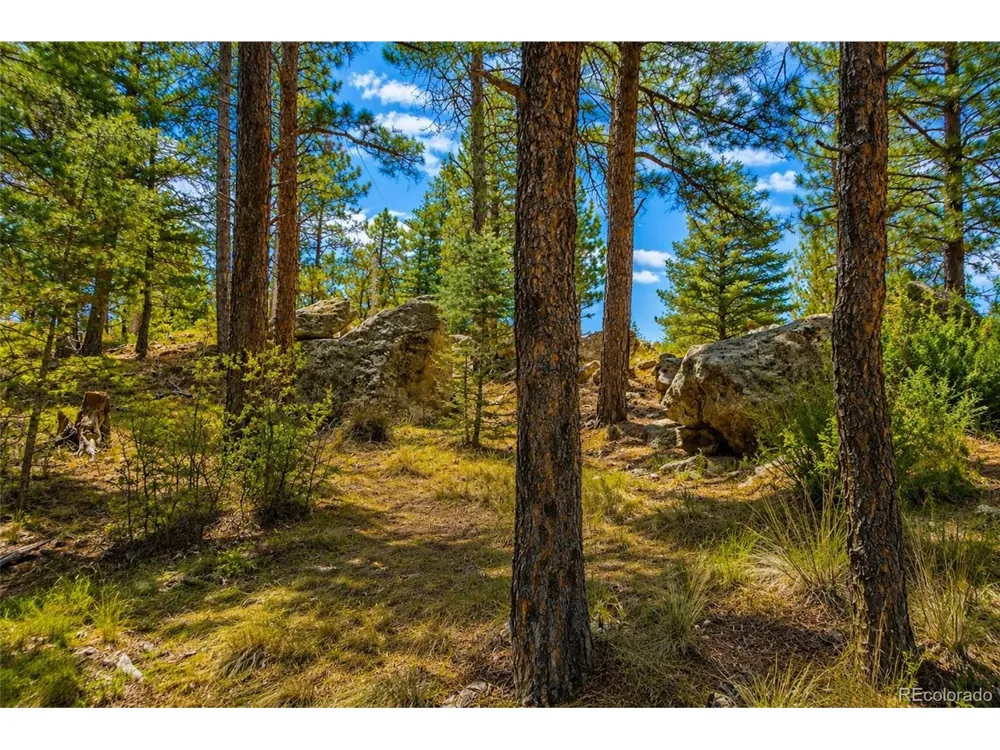 19084 County Road 31.9 Weston, CO 81091