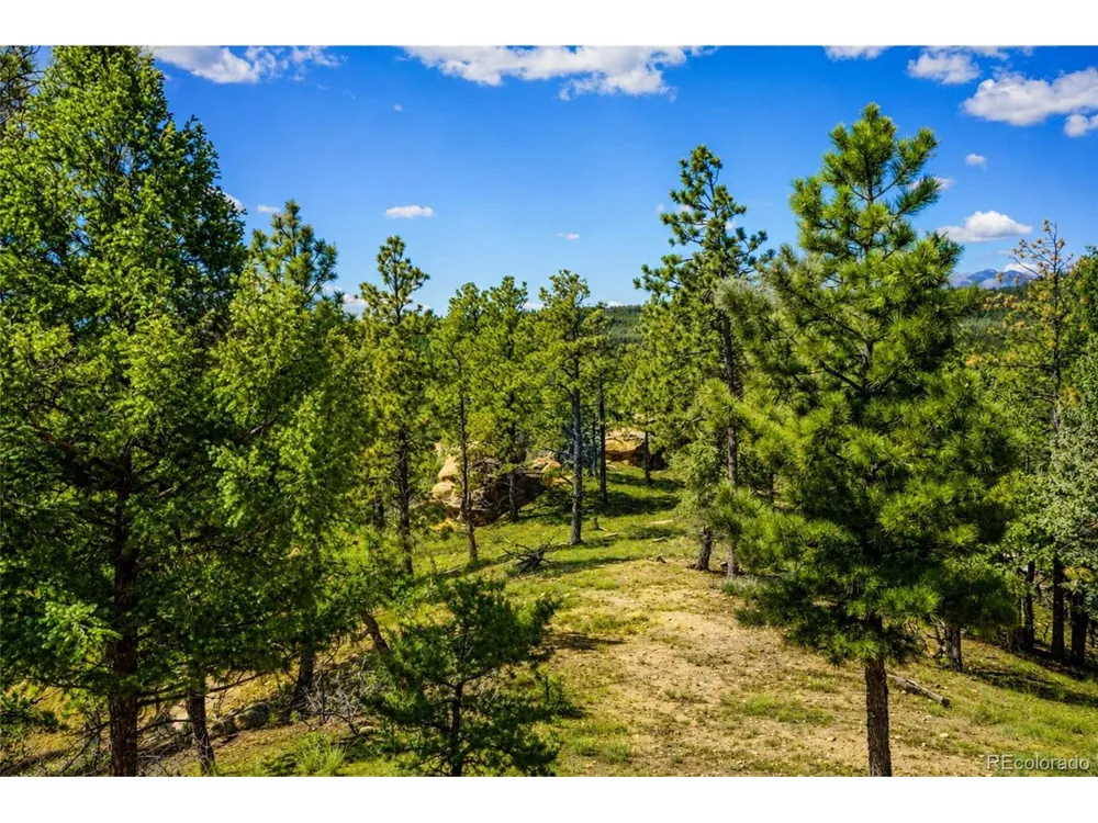19084 County Road 31.9 Weston, CO 81091