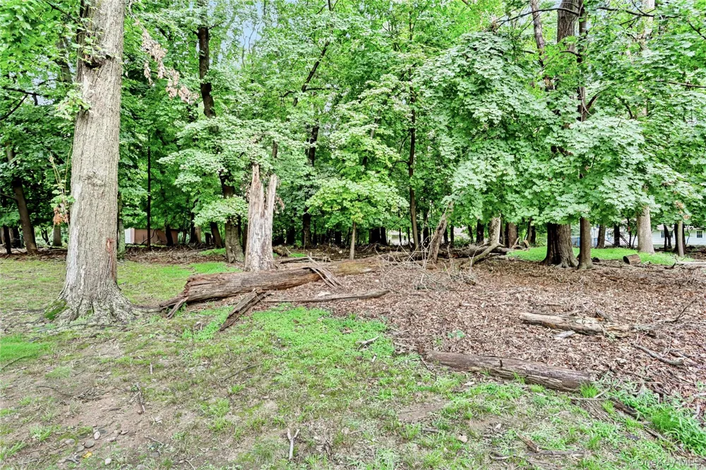 9 Bluejay Street Spring Valley, NY 10977