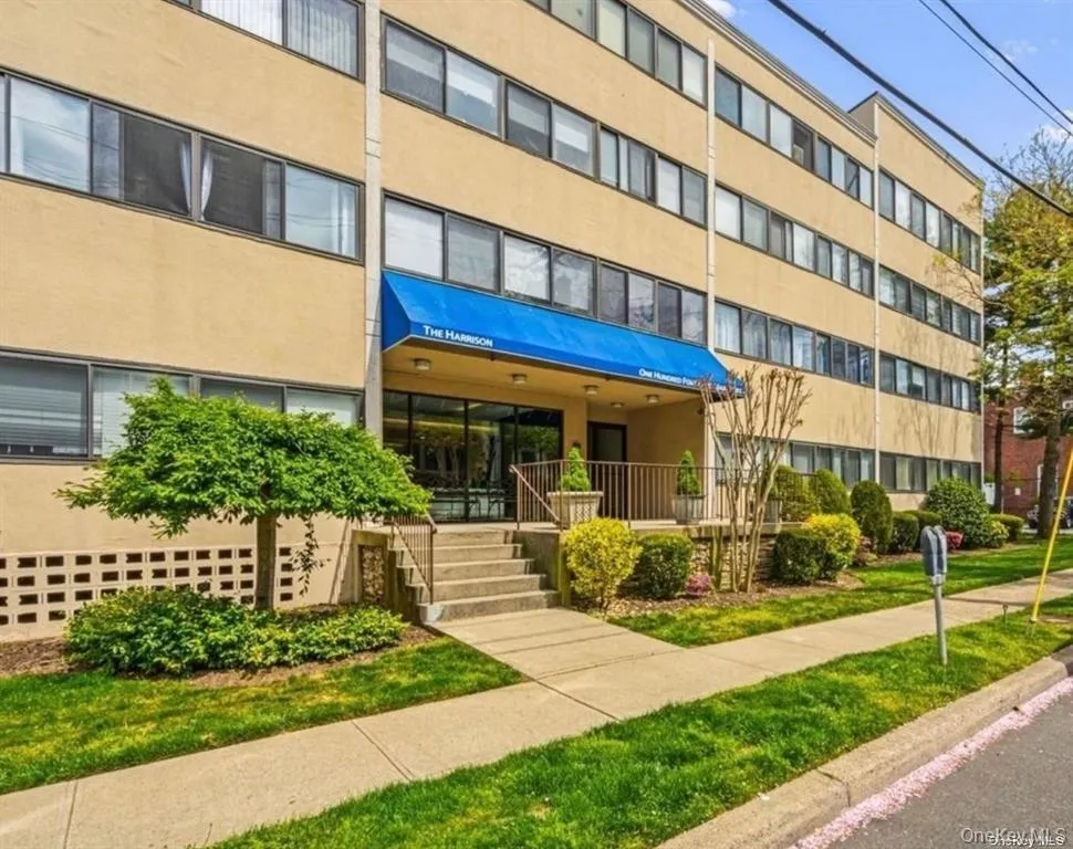 142 Main Street #1D Mineola, NY 11501