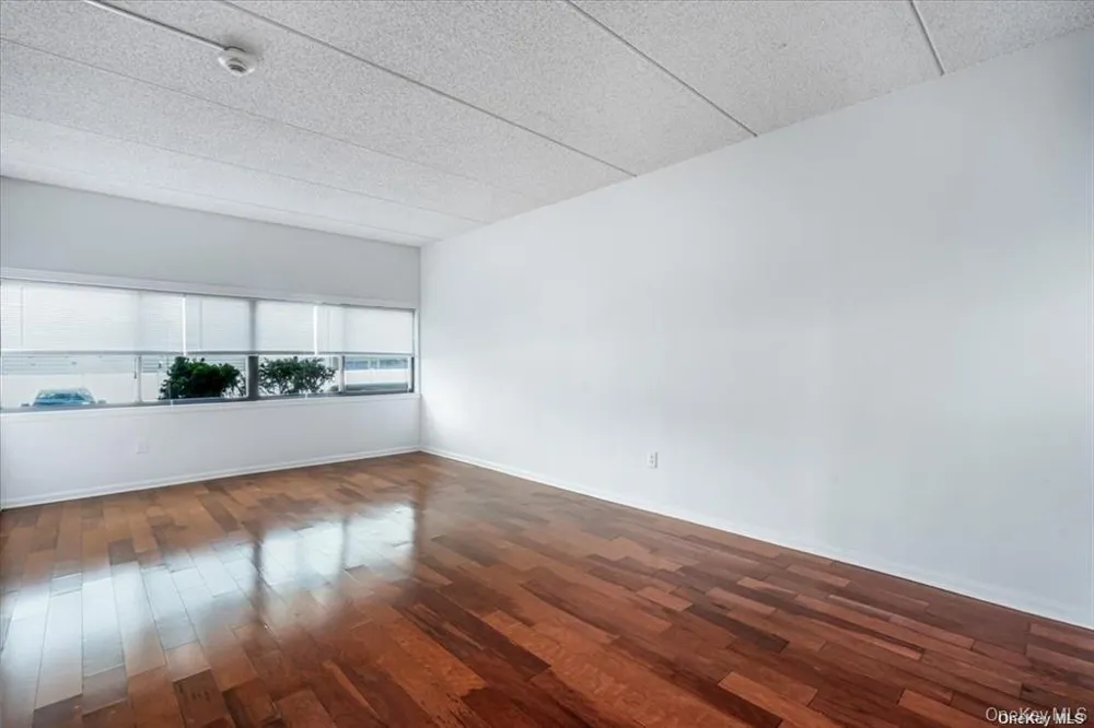 142 Main Street #1D Mineola, NY 11501