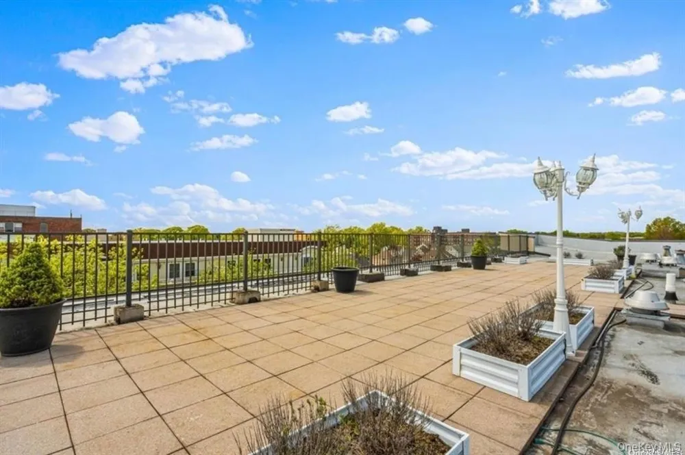 142 Main Street #1D Mineola, NY 11501