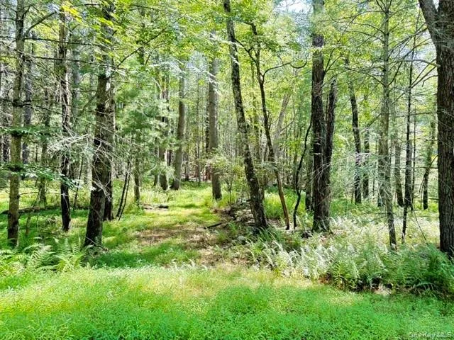 Lot 3.18 Fish Cabin Road Glen Spey, NY 12737