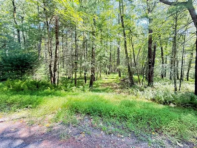 Lot 3.18 Fish Cabin Road Glen Spey, NY 12737