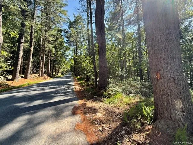 Lot 3.18 Fish Cabin Road Glen Spey, NY 12737