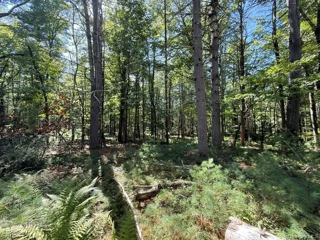 Lot 3.18 Fish Cabin Road Glen Spey, NY 12737