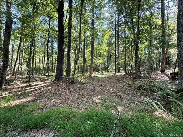 Lot 3.18 Fish Cabin Road Glen Spey, NY 12737