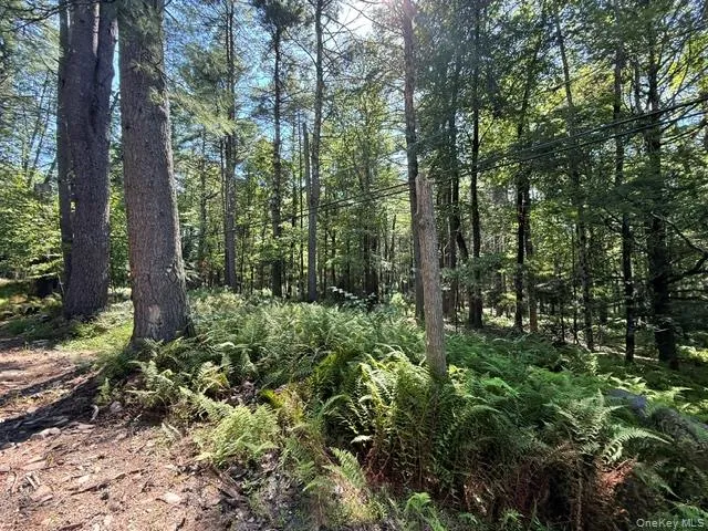 Lot 3.18 Fish Cabin Road Glen Spey, NY 12737