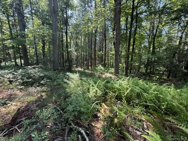 Lot 3.18 Fish Cabin Road Glen Spey, NY 12737