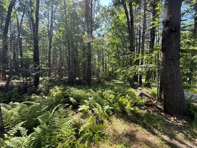 Lot 3.18 Fish Cabin Road Glen Spey, NY 12737
