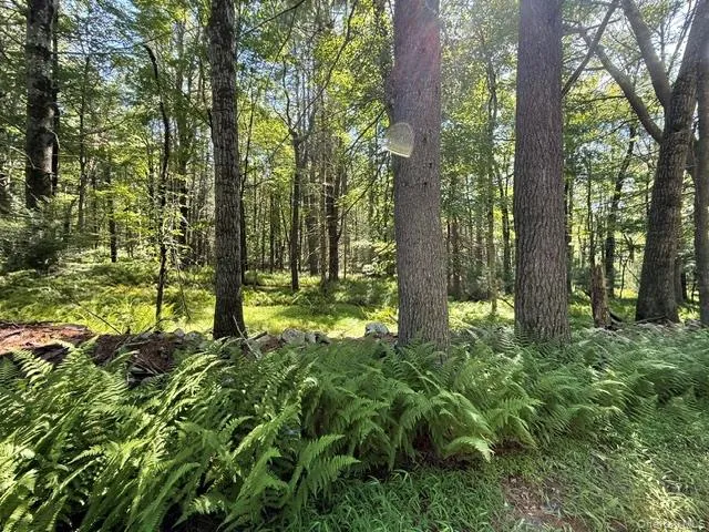 Lot 3.18 Fish Cabin Road Glen Spey, NY 12737
