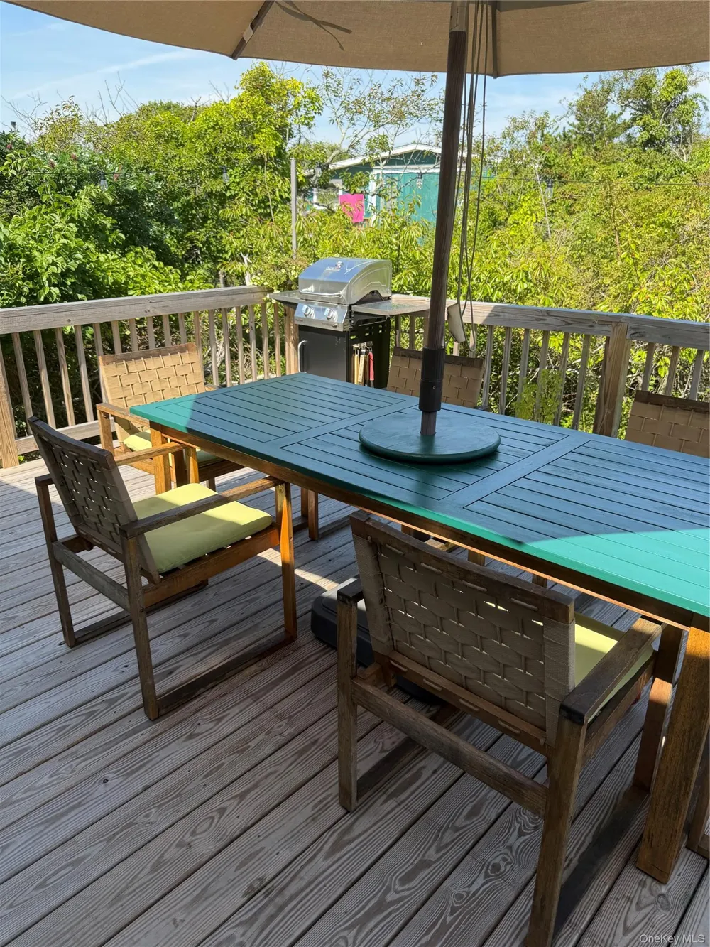 20 Spindrift Walk Davis Park, NY 11772
