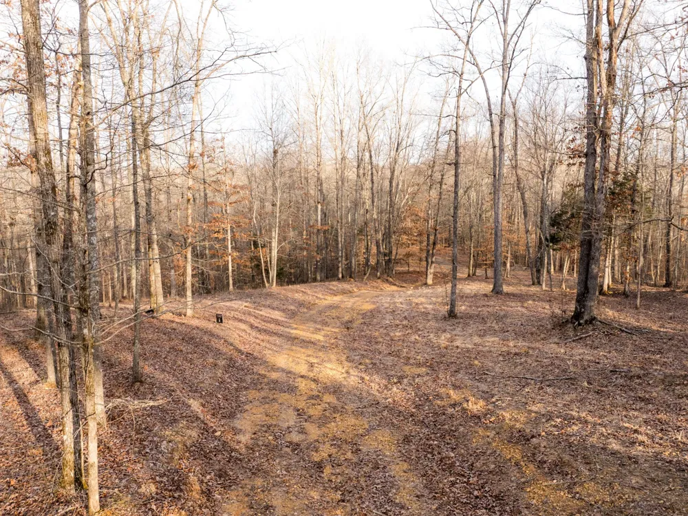 6 Pinewood Road Nunnelly, TN 37137