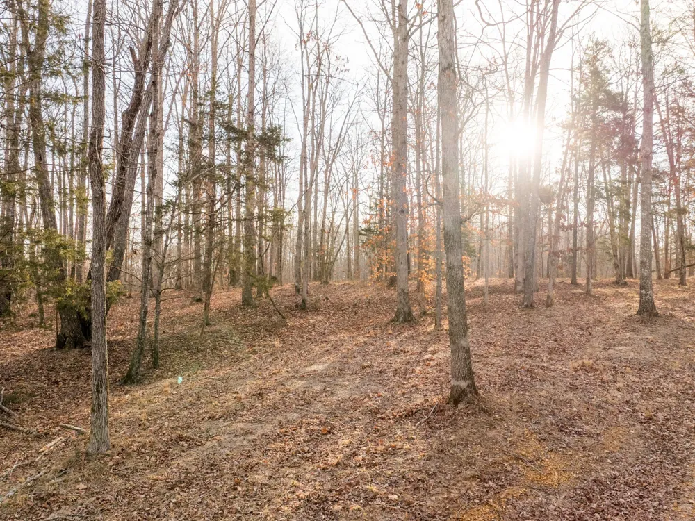 6 Pinewood Road Nunnelly, TN 37137