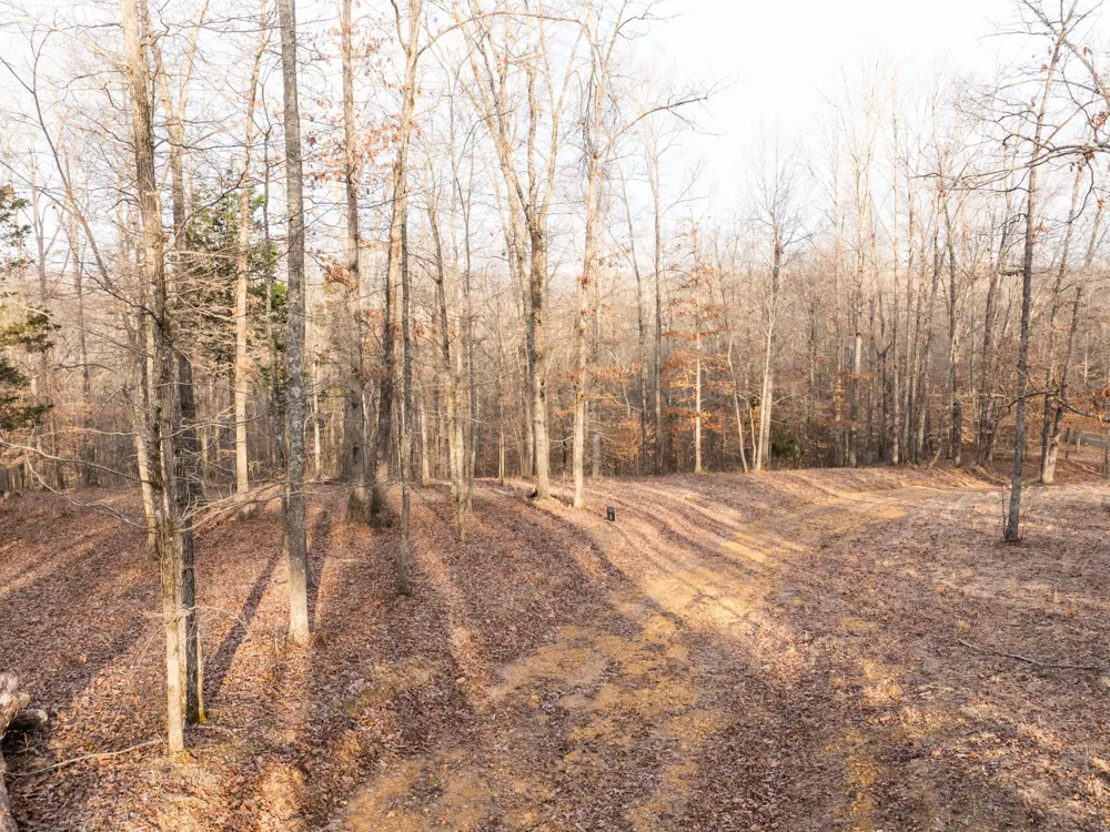 6 Pinewood Road Nunnelly, TN 37137