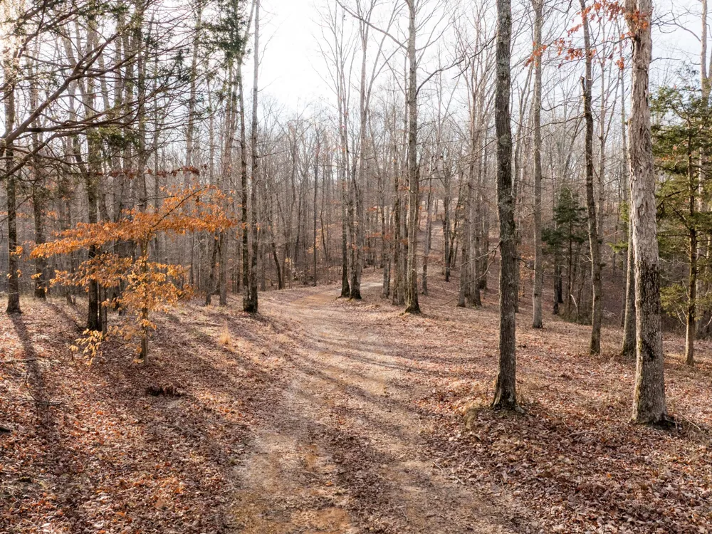 6 Pinewood Road Nunnelly, TN 37137