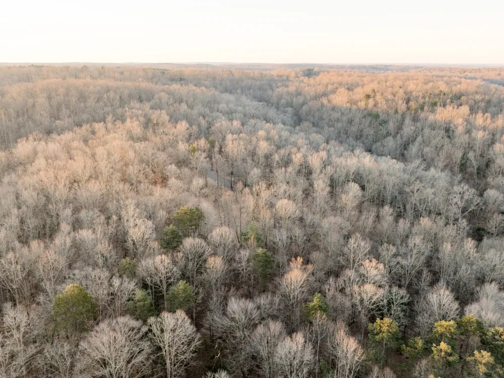 6 Pinewood Road Nunnelly, TN 37137