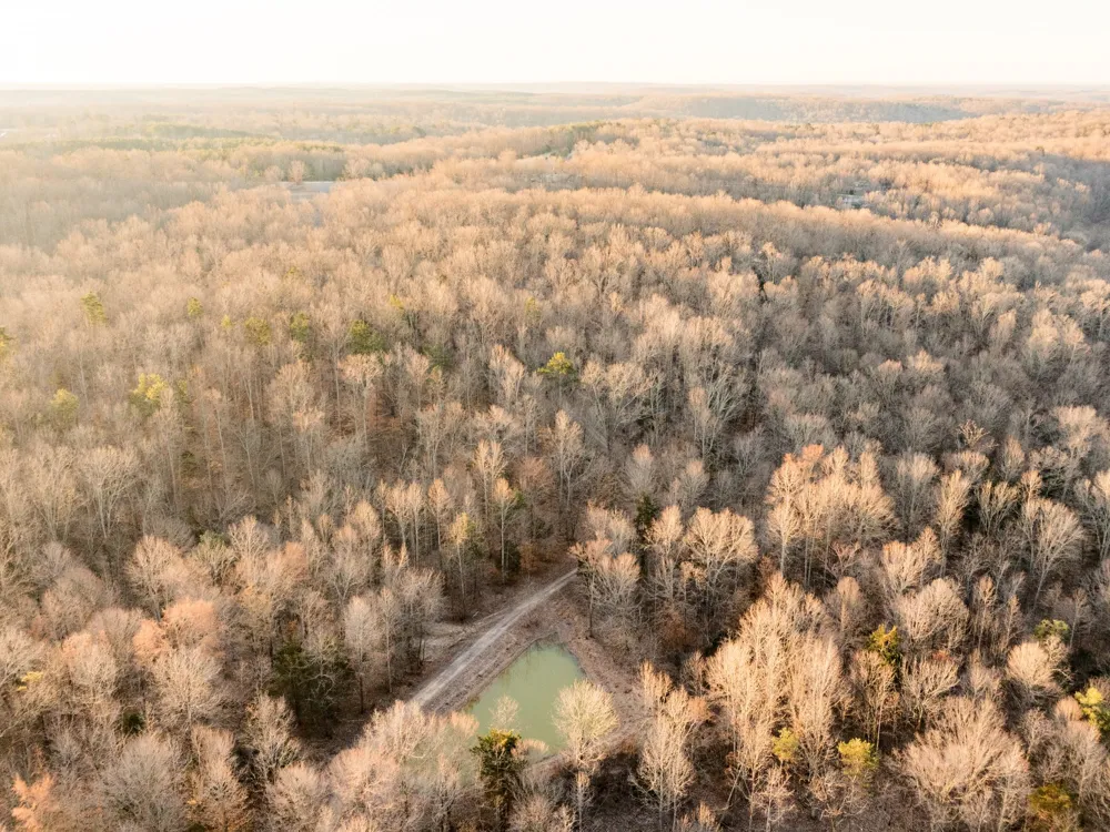 6 Pinewood Road Nunnelly, TN 37137