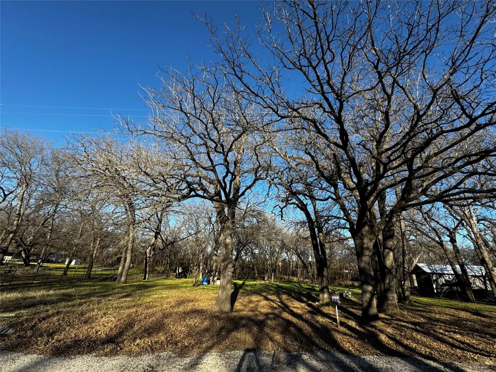 175 Quail Haven Street Alvarado, TX 76009