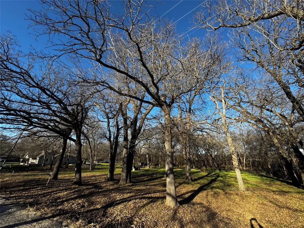 175 Quail Haven Street Alvarado, TX 76009