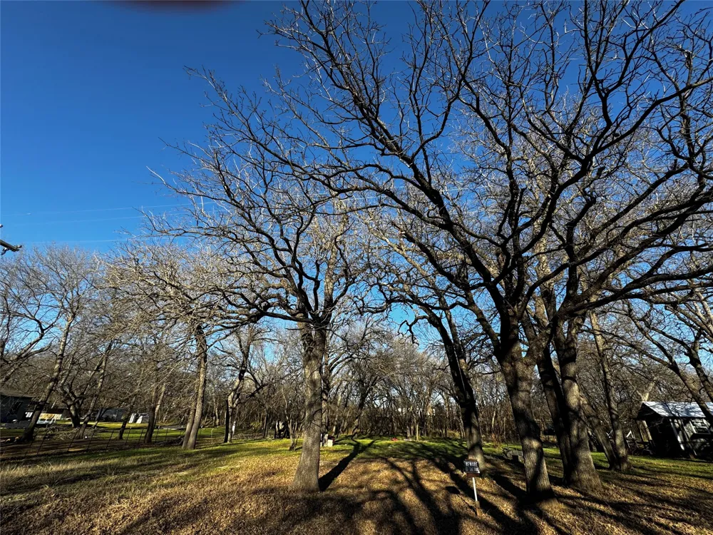 175 Quail Haven Street Alvarado, TX 76009