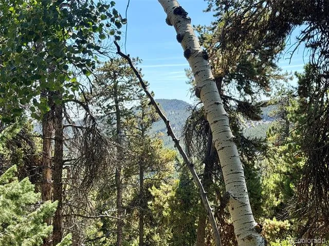 0 Lodgepole Circle Evergreen, CO 80439
