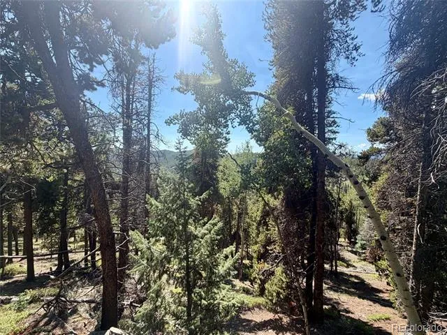 0 Lodgepole Circle Evergreen, CO 80439