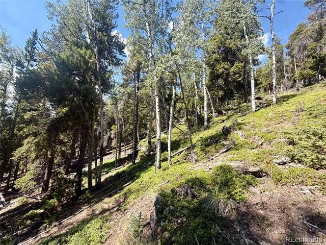 0 Lodgepole Circle Evergreen, CO 80439