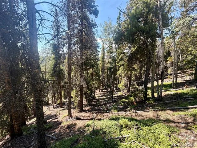 0 Lodgepole Circle Evergreen, CO 80439