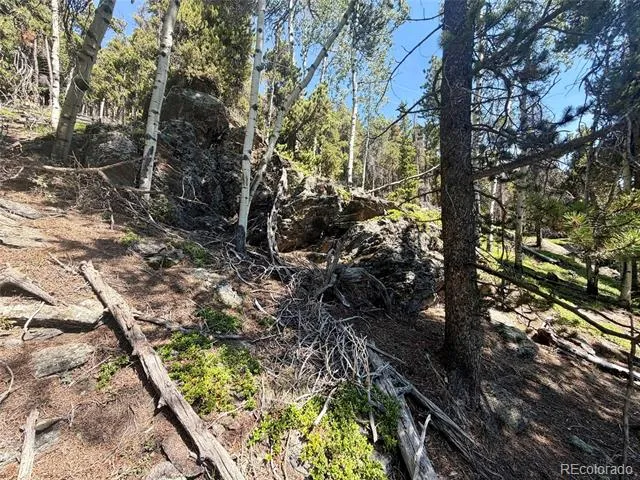 0 Lodgepole Circle Evergreen, CO 80439
