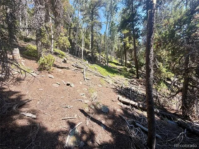 0 Lodgepole Circle Evergreen, CO 80439