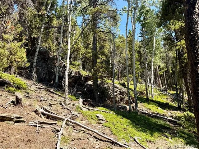 0 Lodgepole Circle Evergreen, CO 80439