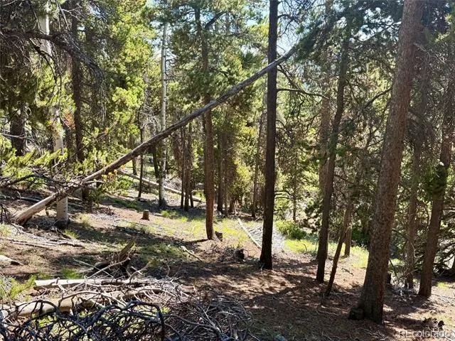 0 Lodgepole Circle Evergreen, CO 80439