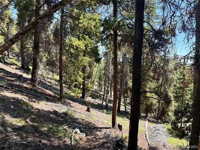 0 Lodgepole Circle Evergreen, CO 80439