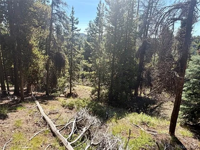 0 Lodgepole Circle Evergreen, CO 80439