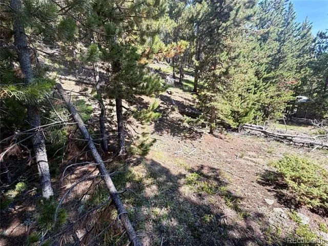 0 Lodgepole Circle Evergreen, CO 80439