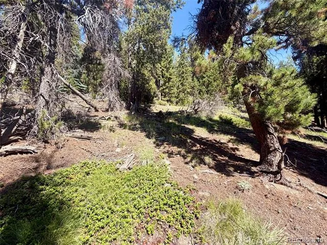 0 Lodgepole Circle Evergreen, CO 80439