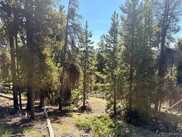 0 Lodgepole Circle Evergreen, CO 80439